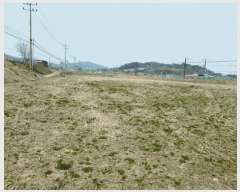  2025Ÿ20283 泲    294      ()