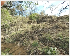  2025Ÿ��20291 �泲 �ο��� ����� ������ 527-4      ����(��1)���