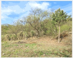  2025Ÿ��20291 �泲 �ο��� ����� ������ 527-4      ����(��1)���