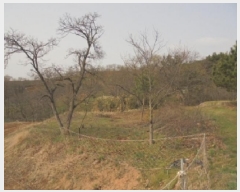  2025Ÿ��20291 �泲 �ο��� ����� ������ 527-4      ����(��1)���