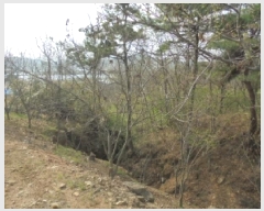  2025Ÿ��20291 �泲 �ο��� ����� ������ 527-4      ����(��1)���