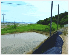  2025Ÿ��20293  ����