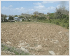  2025Ÿ20310 泲   Ŵ縮 417-1      ()