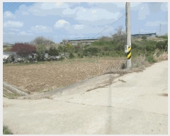  2025Ÿ20310 泲   Ŵ縮 417-1      ()