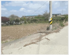  2025Ÿ20310 泲   Ŵ縮 417-1      ()