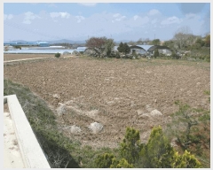  2025Ÿ20310 泲   Ŵ縮 417-1      ()