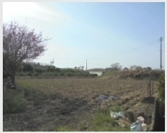  2025Ÿ20310 泲   Ŵ縮 417-1      ()