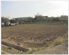  2025Ÿ20310 泲   Ŵ縮 417-1      ()