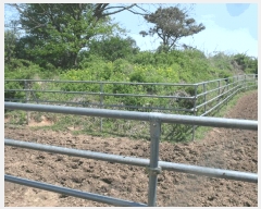  2025Ÿ��20327  �Ӿ߰��