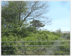  2025Ÿ��20327  �Ӿ߰��