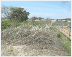  2025Ÿ��20327  �Ӿ߰��