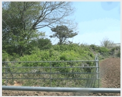  2025Ÿ��20327  �Ӿ߰��