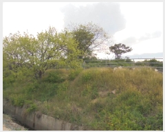  2025Ÿ��20327  �Ӿ߰��