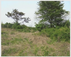  2025Ÿ��20327  �Ӿ߰��