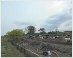  2025Ÿ��20327  �Ӿ߰��