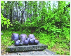  2025Ÿ20331 泲 ο ȭ õ縮 120      ð