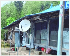  2025Ÿ20331 泲 ο ȭ õ縮 120      ð