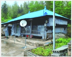  2025Ÿ20331 泲 ο ȭ õ縮 120      ð