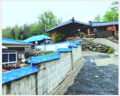  2025Ÿ20331 泲 ο ȭ õ縮 120      ð