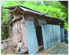  2025Ÿ20331 泲 ο ȭ õ縮 120      ð