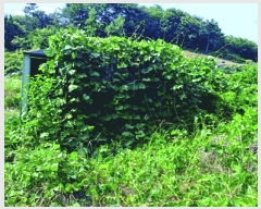  2025Ÿ20368 泲   ž縮 401      (1)