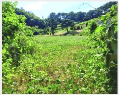  2025Ÿ20368 泲   ž縮 401      (1)