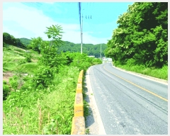  2025Ÿ20368 泲   ž縮 401      (1)