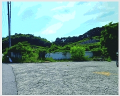  2025Ÿ20368 泲   ž縮 401      (1)