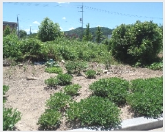  2025Ÿ��20399 �泲 ����� ����� ������ 472      ����(����)���