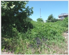  2025Ÿ��20399 �泲 ����� ����� ������ 472      ����(����)���