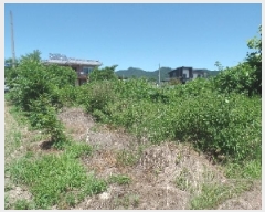  2025Ÿ��20399 �泲 ����� ����� ������ 472      ����(����)���