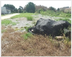  2025Ÿ��20407  �����