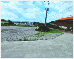  2025Ÿ��20407  �����