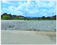  2025Ÿ��20407  �����