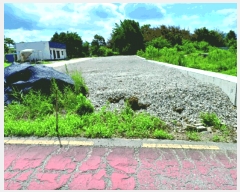  2025Ÿ��20407  �����