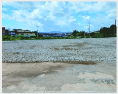  2025Ÿ��20407  �����