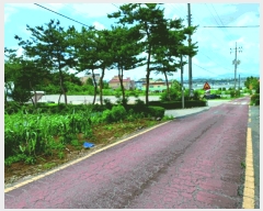  2025Ÿ��20407  �����