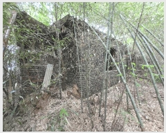  2025Ÿ��20434  ����������