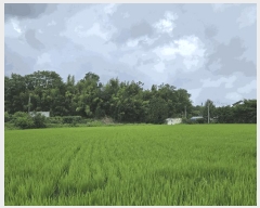  2025Ÿ��20434  ����������