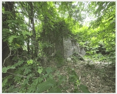  2025Ÿ��20434  ����������