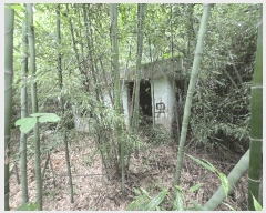  2025Ÿ��20434  ����������