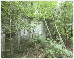  2025Ÿ��20434  ����������