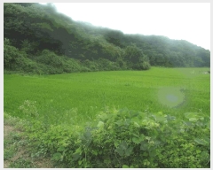  2025Ÿ��20439 �泲 �ο��� �ο��� ������ 61-4      ����(��)���