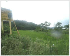  2025Ÿ��20439 �泲 �ο��� �ο��� ������ 61-4      ����(��)���