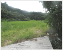  2025Ÿ��20439 �泲 �ο��� �ο��� ������ 61-4      ����(��)���