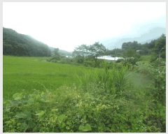  2025Ÿ��20439 �泲 �ο��� �ο��� ������ 61-4      ����(��)���