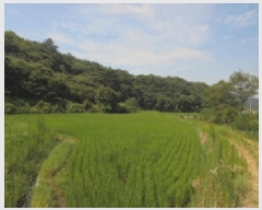  2025Ÿ��20439 �泲 �ο��� �ο��� ������ 61-4      ����(��)���