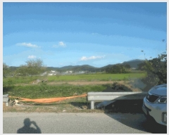  2025Ÿ��20452  ����