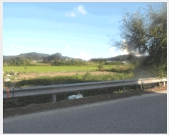  2025Ÿ��20452  ����