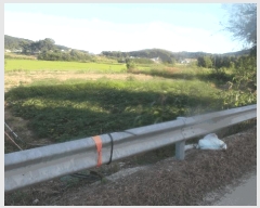  2025Ÿ��20452  ����